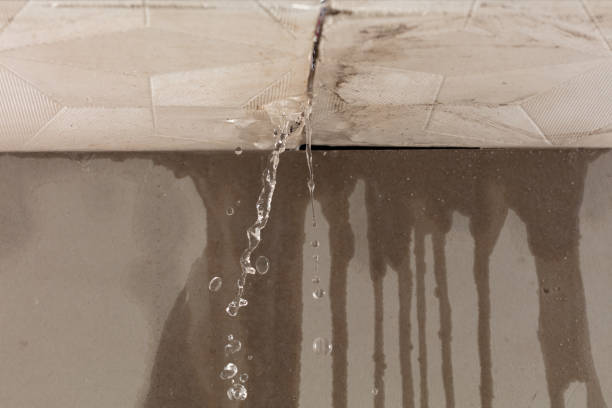 Professional Water Damage Repair technician working in Syracuse, OH
